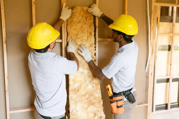Best Insulation Removal  in Pompton Plains, NJ